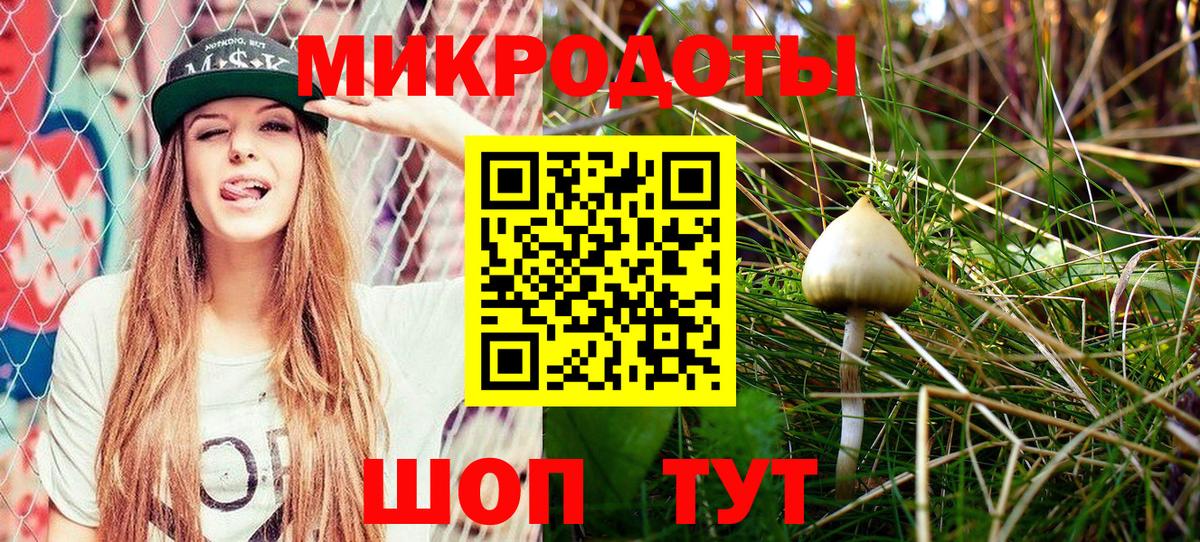 Псилоцибиновые грибы прущие грибы  как найти закладки  Псилоцибиновые грибы мухоморы  Кострома  Вход с VPN 